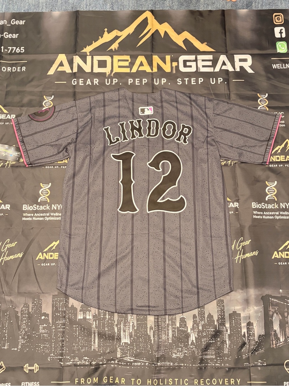Nike Kids 'Lindor' #12 Black Pinstripe Jersey with Pink Trim